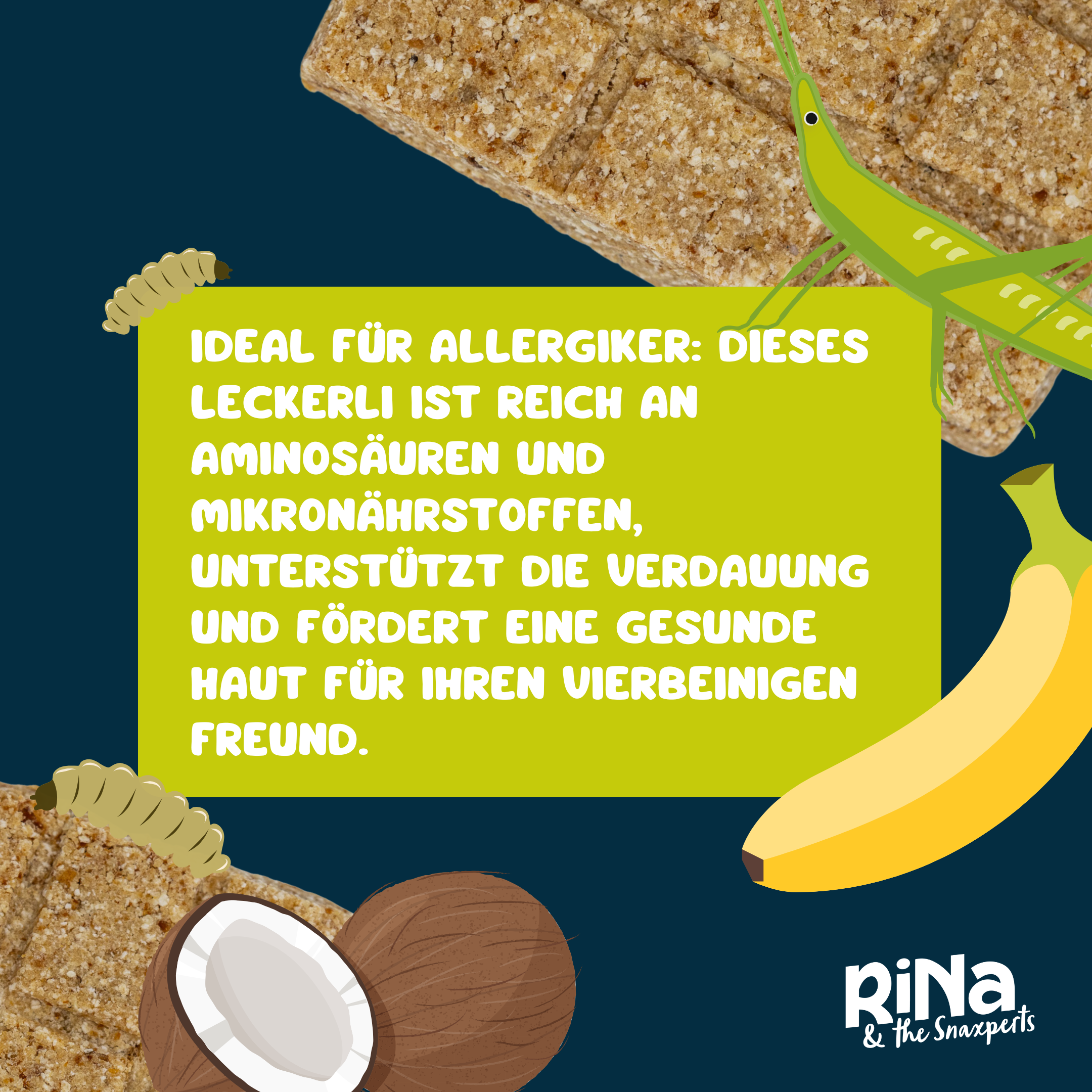 RiNa`s BUG BARK - Hundeleckerli mit ca. 20% hochwertigen Insekten-Protein - 10er-Riegelbox 300g